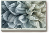 Paul Sinus Wandbild 120x80cm weisse Blume Makro modern minimalistisch Kunstdruck grosses Kunstbild elegante Wanddekoration fuer Wohnzimmer Büro Flur