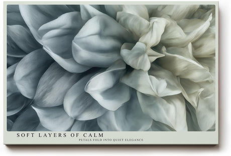 Paul Sinus Wandbild 120x80cm weisse Blume Makro modern minimalistisch Kunstdruck grosses Kunstbild elegante Wanddekoration fuer Wohnzimmer Büro Flur