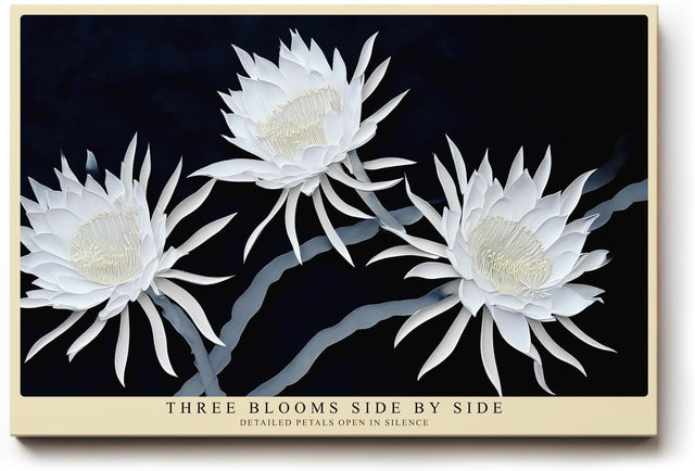 Paul Sinus Wandbild 120x80cm weisse Blumen auf dunklem Hintergrund elegante botanische Kunst moderne Naturfotografie Kunstdruck stilvolle Wanddekoration fuer Wohnzimmer Schlafzimmer Flur