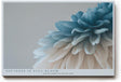 Paul Sinus Wandbild 120x80cm zarte Bluete Makroaufnahme in Blau und Creme moderne florale Kunst stilvolle Wanddekoration fuer Wohnzimmer Büro