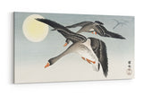 Remast_009064eERnd0t6jrB_1280x1280.jpg