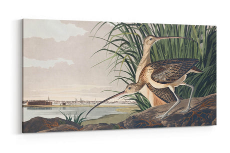 Remast_0273K6HjoOrQqiQaw_1280x1280.jpg