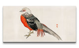 Remast_0338_1280x1280.jpg