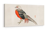 Remast_0338iZu0S0CJE1Ll6_1280x1280.jpg