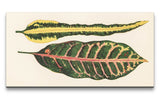 Remast_0609_1280x1280.jpg