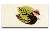 Remast_0610_1280x1280.jpg