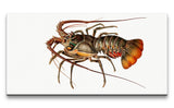 Remast_0647_1280x1280.jpg