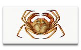 Remast_0650_1280x1280.jpg