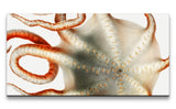 Remast_0654_1280x1280.jpg