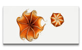 Remast_0655_1280x1280.jpg
