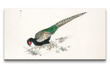 Remast_0745_1280x1280.jpg