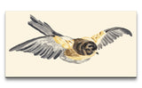 Remast_0787_1280x1280.jpg