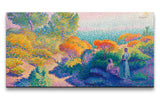 Remast_0795_1280x1280.jpg