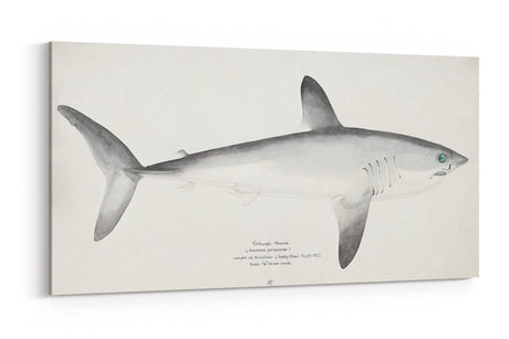 Remast_0827LUIXXJjSdtvKB_1280x1280.jpg