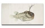 Remast_0828_1280x1280.jpg