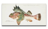 Remast_0832_1280x1280.jpg