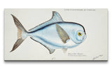 Remast_0835_1280x1280.jpg