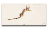 Remast_0837_1280x1280.jpg