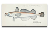 Remast_0844_1280x1280.jpg