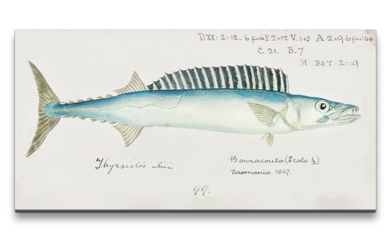 Remast_0848_1280x1280.jpg