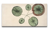 Remast_0861_1280x1280.jpg
