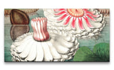 Remast_0862_1280x1280.jpg