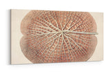 Remast_0863rZ1k7cP8xudHY_1280x1280.jpg