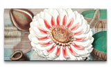 Remast_0864_1280x1280.jpg