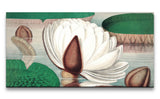 Remast_0865_1280x1280.jpg