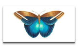 Remast_0903_1280x1280.jpg