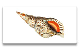 Remast_0906_1280x1280.jpg