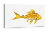 Remast_0909nU4tx8OIHJ76b_1280x1280.jpg