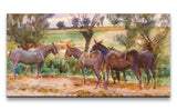Remast_0958_1280x1280.jpg