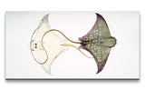 Remast_0989_1280x1280.jpg