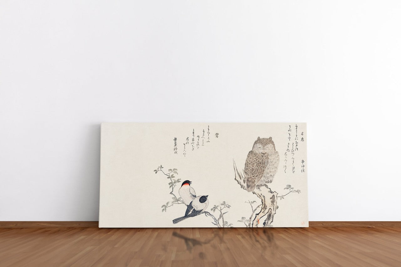 Remast_0990Y8YVLWsPFHi6R_1280x1280.jpg