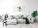 Remast_105604pmFpML4G1iG_1280x1280.jpg