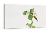 Remast_1056tbx9hGbiPjL3I_1280x1280.jpg