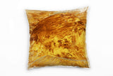 SINUS_ART_0285E1Lw19LNVC6uz_1280x1280.jpg