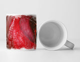SINUS_ART_0757_TASSEkruEpVv8x2has_1280x1280.jpg