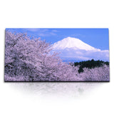 STOCKS_0015_1280x1280.jpg