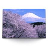 STOCKS_0015dLe5bx93aie6u_1280x1280.jpg