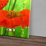 STOCKS_0045imDiiuowxZjrp_1280x1280.jpg