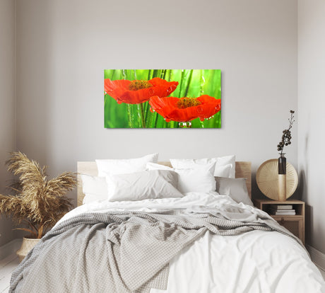 STOCKS_0045pAygv8nCTQeyK_1280x1280.jpg