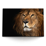 STOCKS_0081rN1QlLWukS2j3_1280x1280.jpg