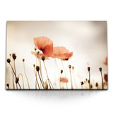 STOCKS_0092iZhcBGu9vahoO_1280x1280.jpg