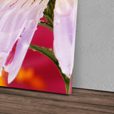 STOCKS_0119ZM961dzjoJcvy_1280x1280.jpg