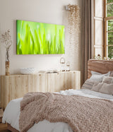 STOCKS_0123gbrz1mEgZ3MBe_1280x1280.jpg