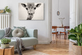 STOCKS_0126gjlV4sMreR1pm_1280x1280.jpg