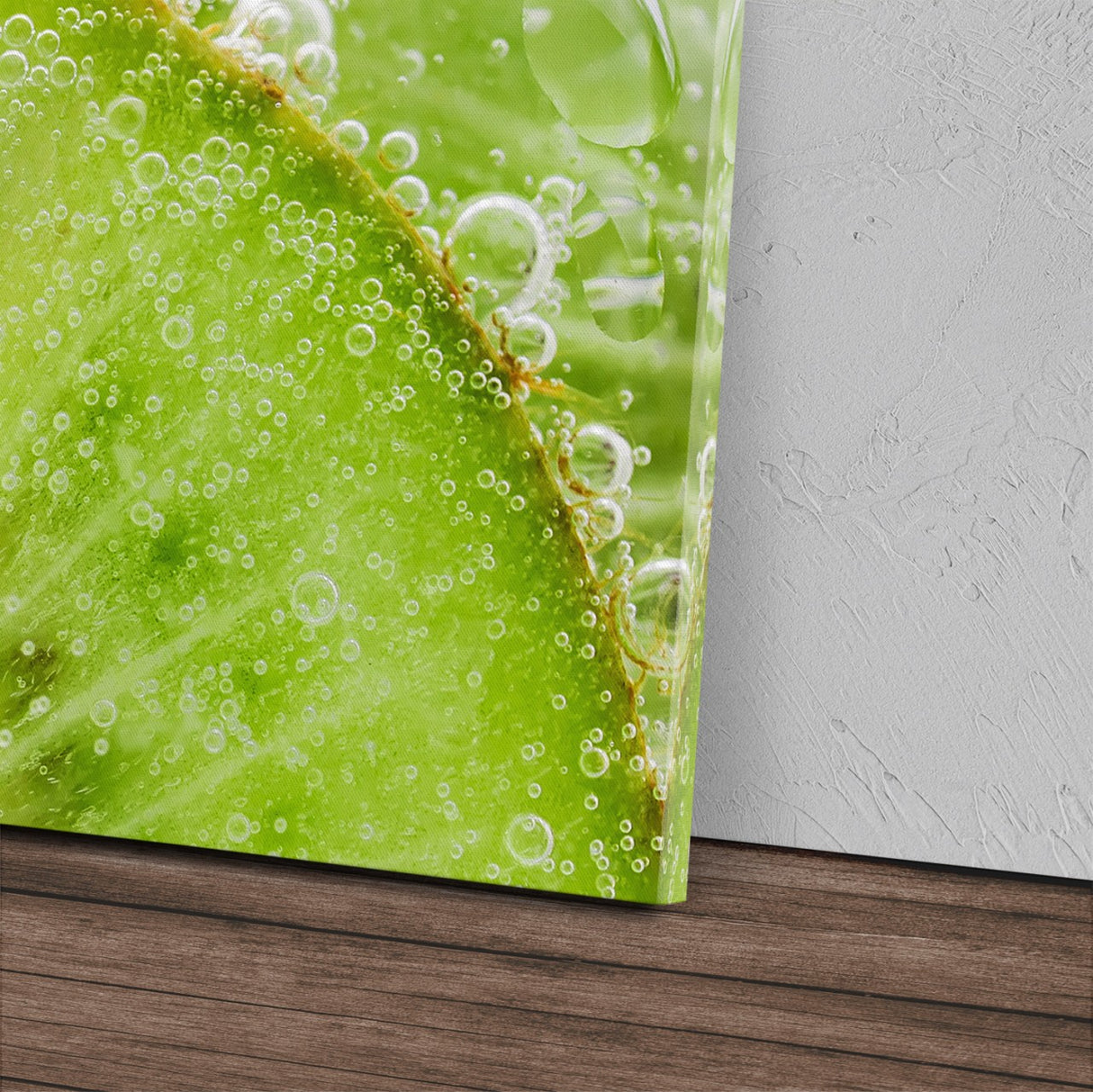 STOCKS_0148i5VPH80mYV0sV_1280x1280.jpg