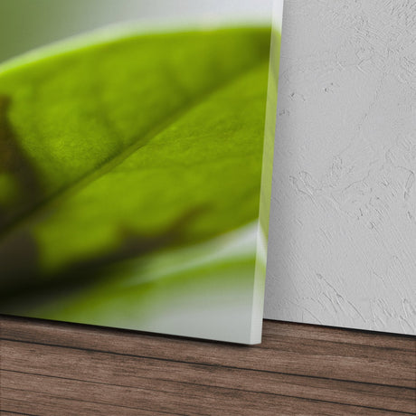 STOCKS_0151DRRQ1nTOJiw8z_1280x1280.jpg